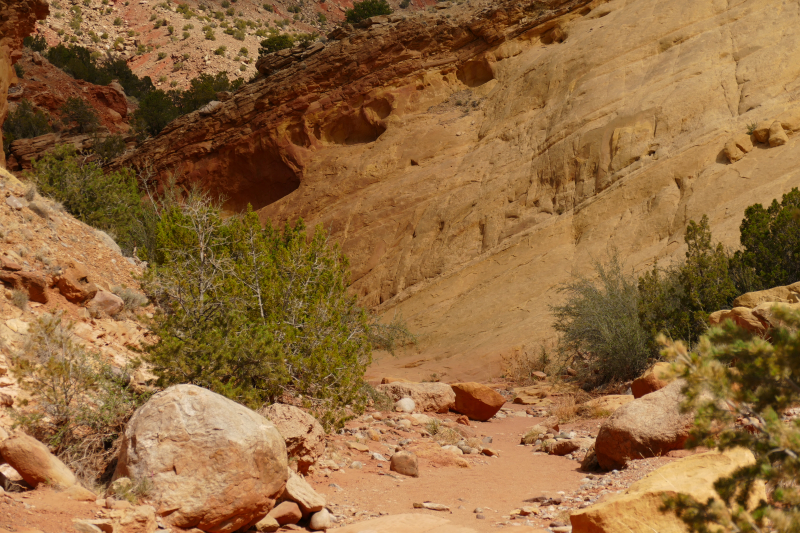 Red Wash und Petroglyph Rock Loop [Carson National Forest]