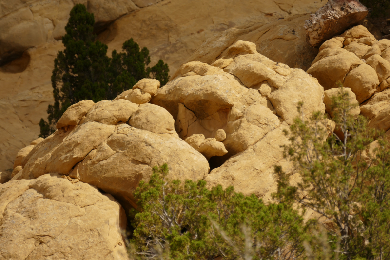 Red Wash Petrogylph Rock Loop [Carson National Forest]