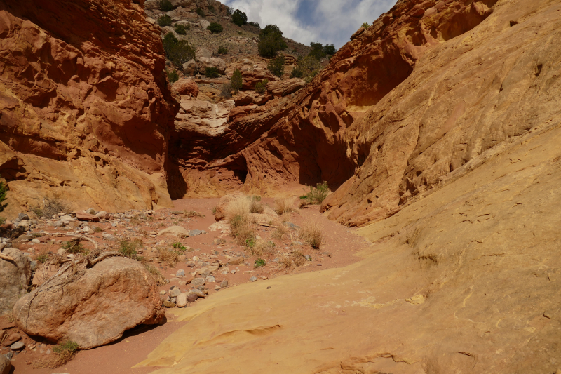 Red Wash Petroglyph Rock Loop [Carson National Forest]