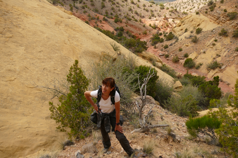 Red Wash Petrogylph Rock Loop [Carson National Forest]