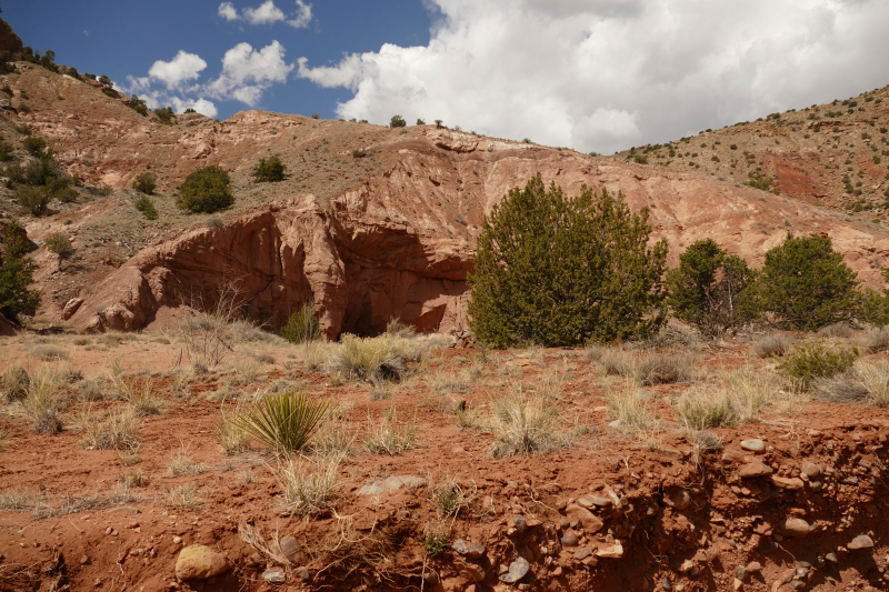 Red Wash Petrogylph Rock Loop [Carson National Forest]