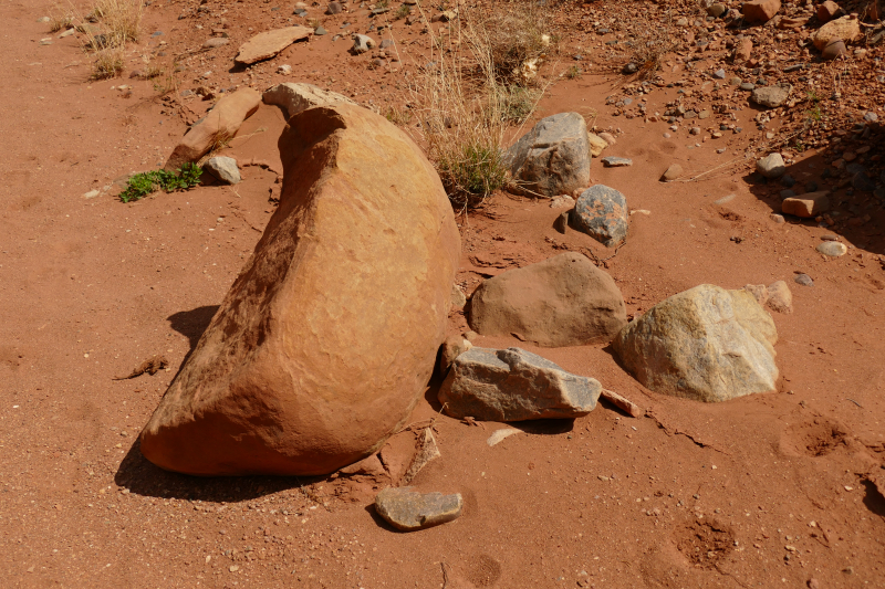 Red Wash Petrogylph Rock Loop [Carson National Forest]