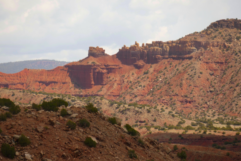 Red Wash Petrogylph Rock Loop [Carson National Forest]