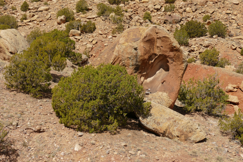 Red Wash Petrogylph Rock Loop [Carson National Forest]