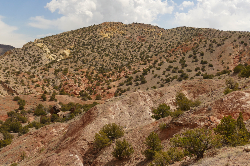 Red Wash Petrogylph Rock Loop [Carson National Forest]