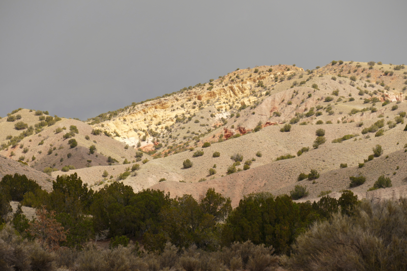 Red Wash Petrogylph Rock Loop [Carson National Forest]