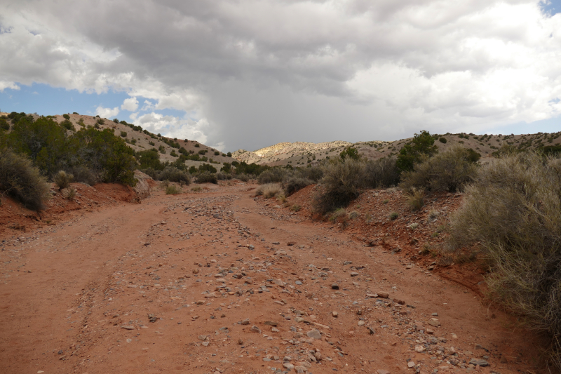 Red Wash Petrogylph Rock Loop [Carson National Forest]