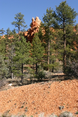 Red Canyon