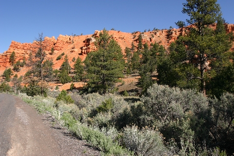 Red Canyon