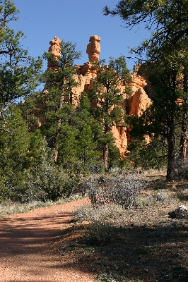 Red Canyon