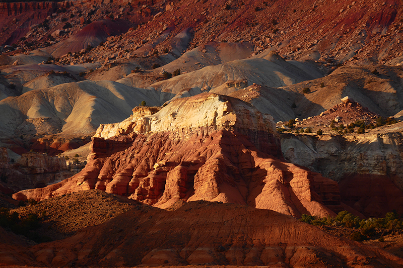 Capitol Reef National Park