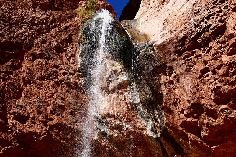 Ribbon Falls [Grand Canyon]