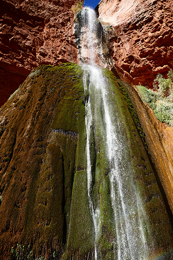 Ribbon Falls [Grand Canyon]