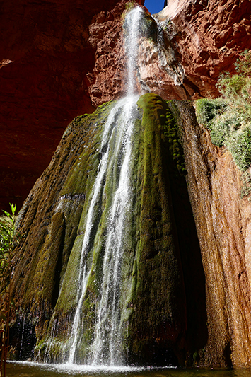 Lower Ribbon Falls - North Kaibab Trail [Grand Canyon National Park]