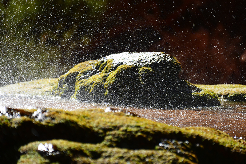 Ribbon Falls [Grand Canyon]