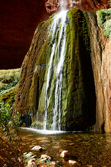 Ribbon Falls [Grand Canyon]