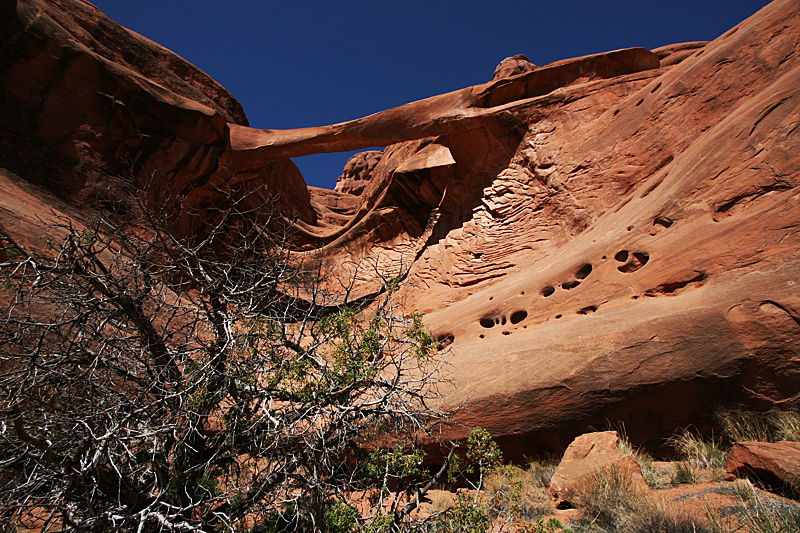 Ring Arch im Arches National Park