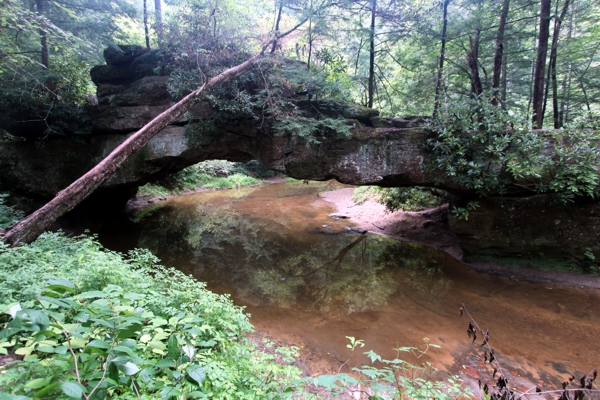Rock Bridge [Swift Camp Creek]