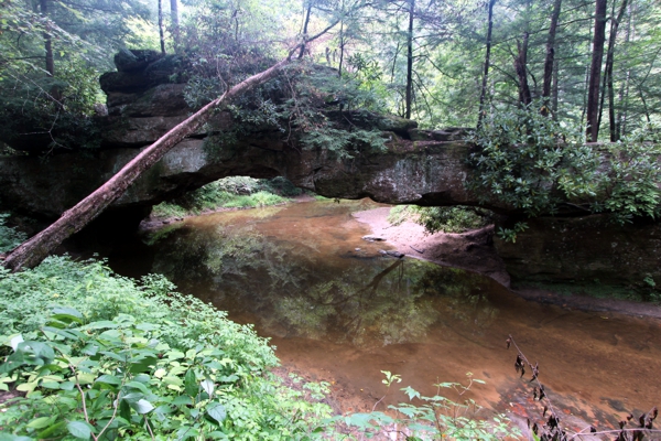 Rock Bridge [Red River Gorge]