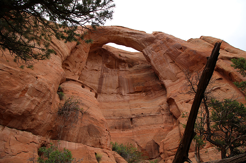 Rock Creek Arch [East Fork Rock Creek]