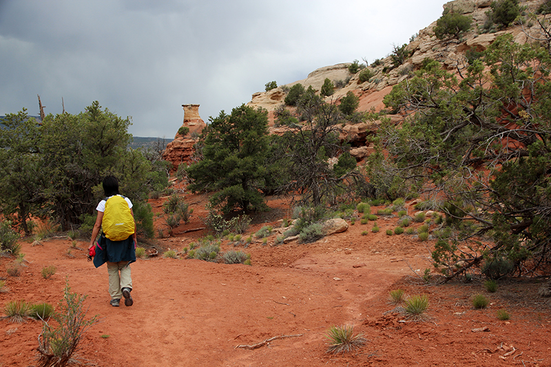 Rock Creek Sand Canyon