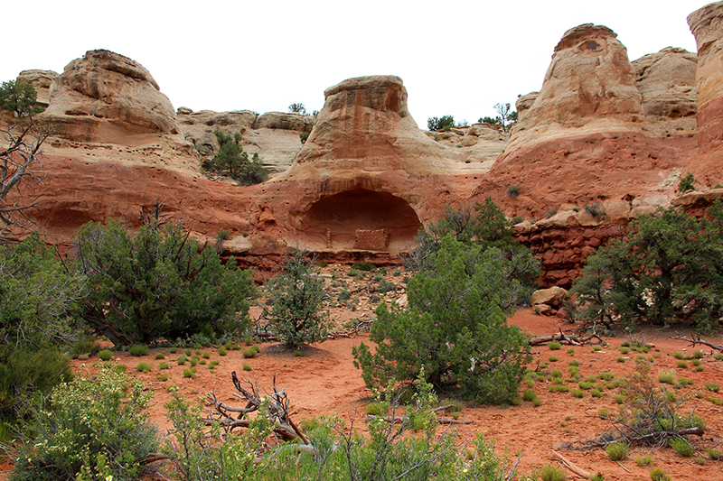 Rock Creek Sand Canyon Colorado