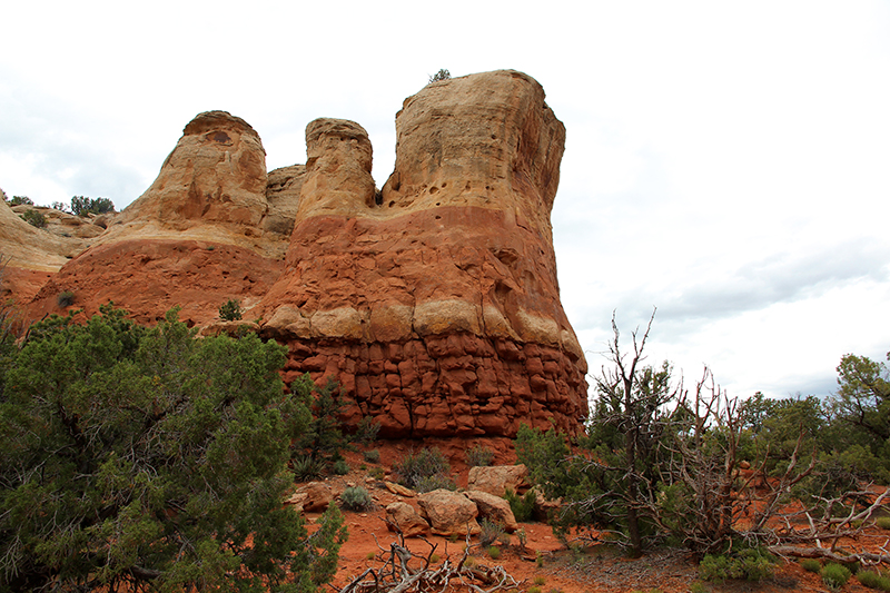 Rock Creek Sand Canyon Colorado