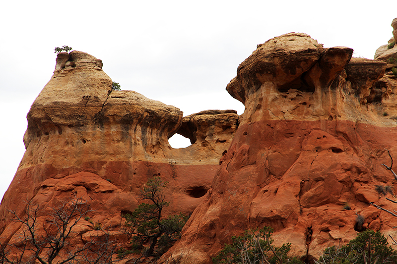 Rock Creek Sand Canyon Colorado