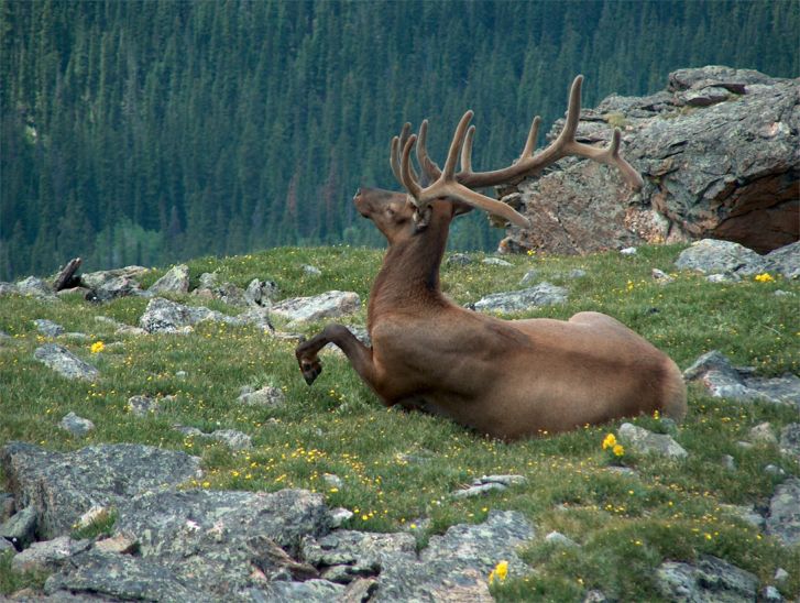 Rocky Mountain National Park