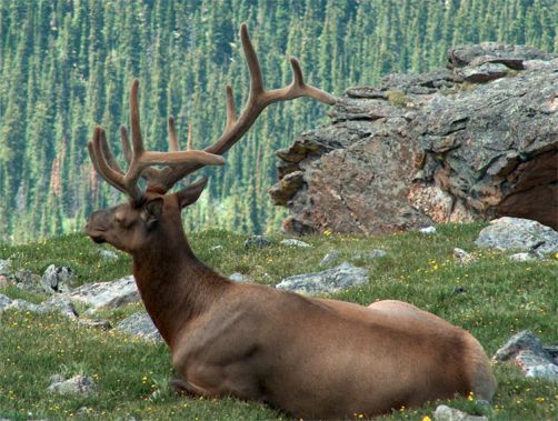 Rocky Mountain National Park