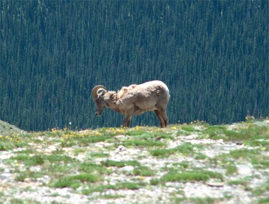 Rocky Mountain National Park