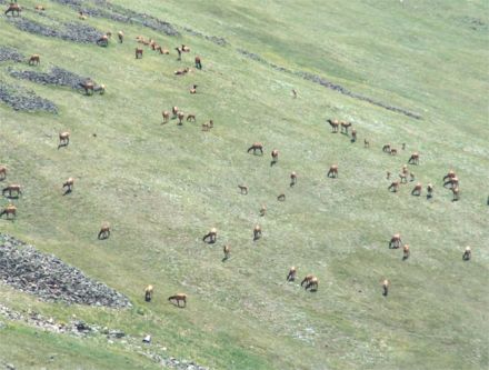 Rocky Mountain National Park