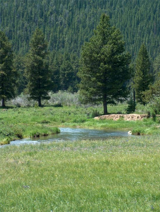 Rocky Mountain National Park