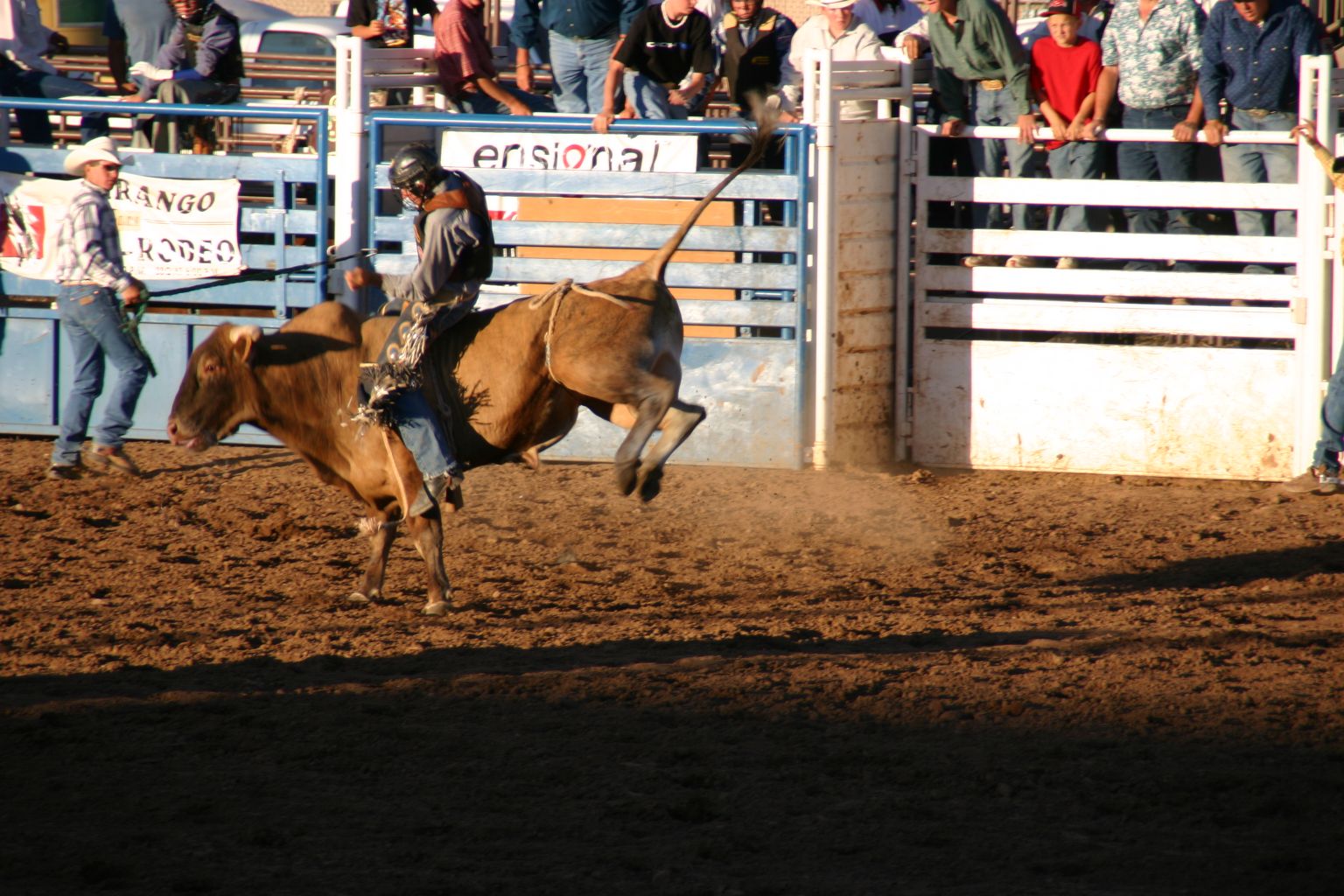 Rodeo