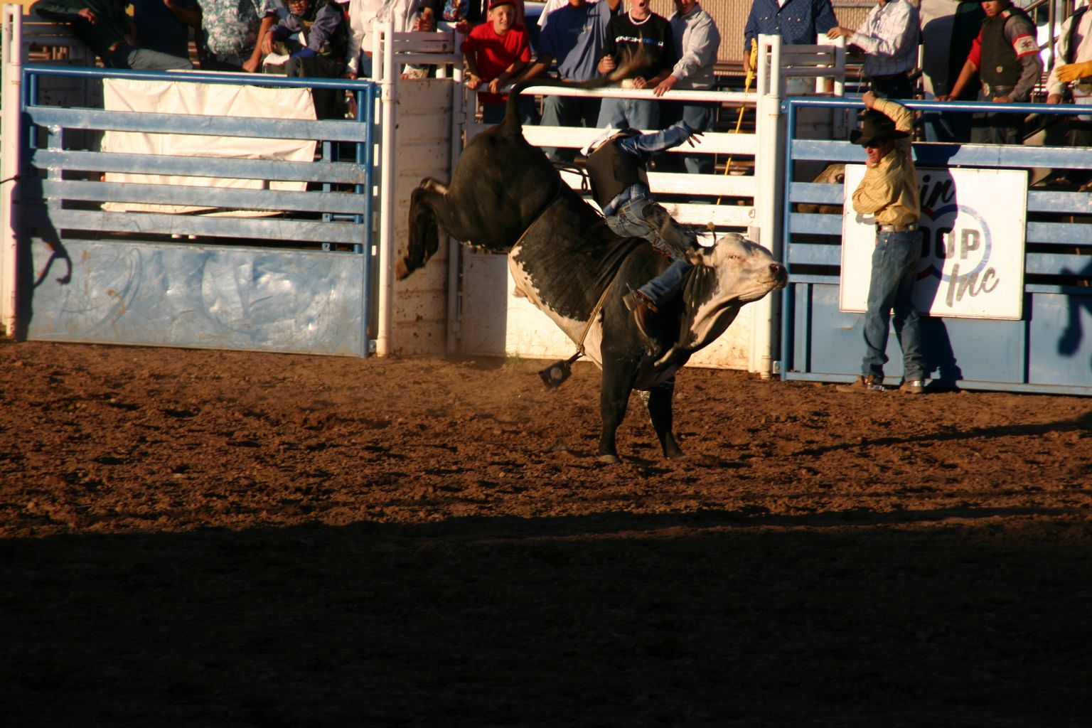 Rodeo