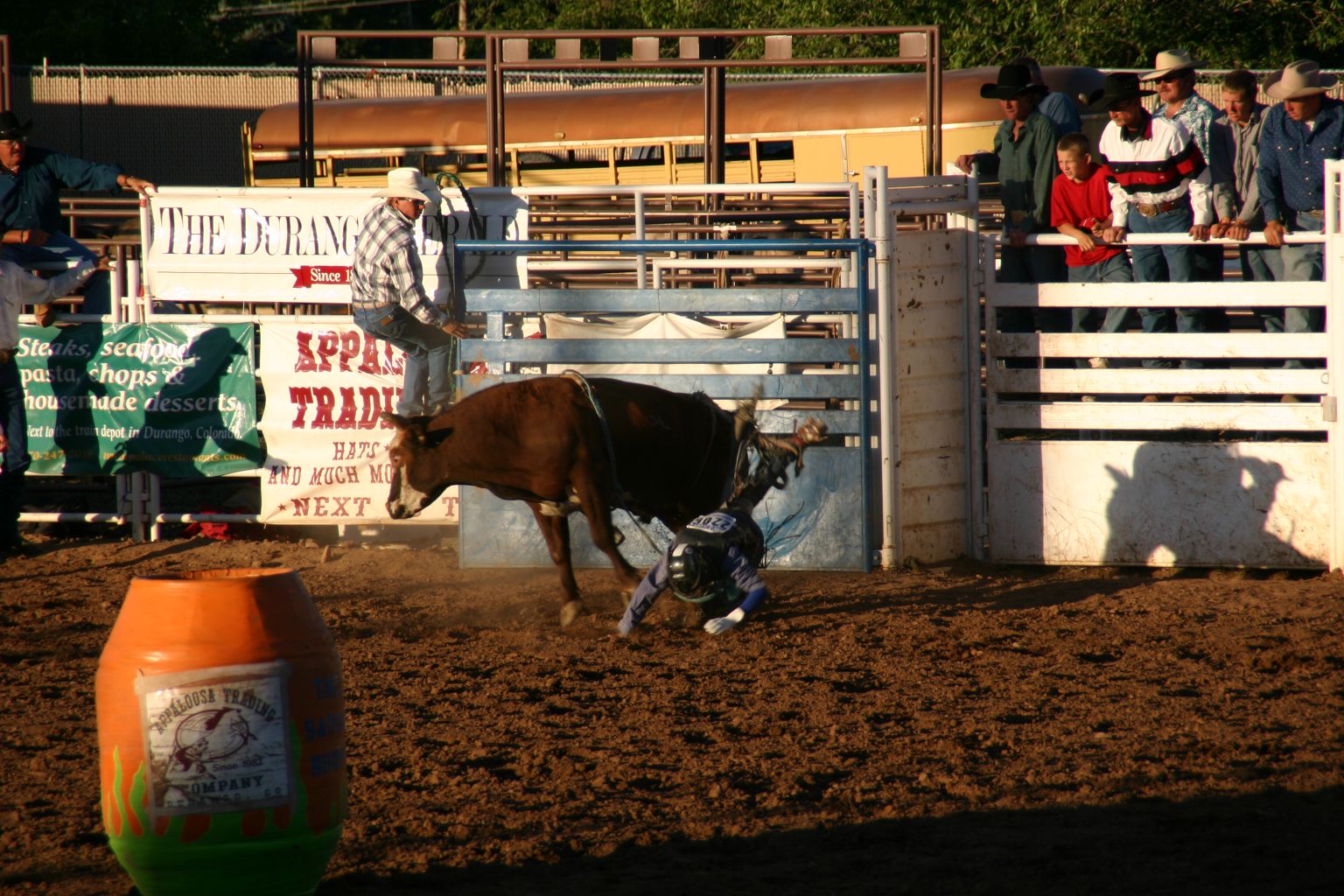 Rodeo