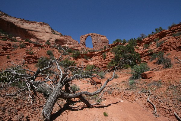 Royal Arch [Arizona]