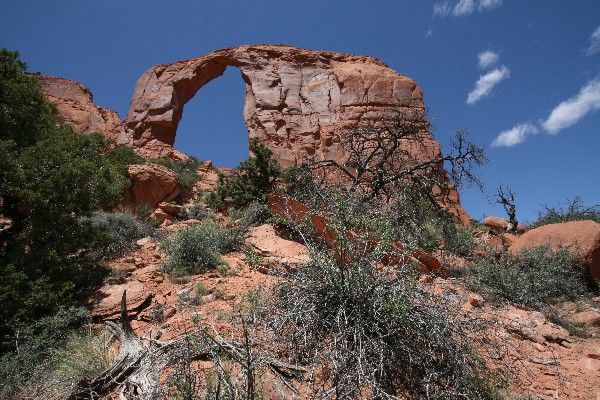 Royal Arch [Arizona]