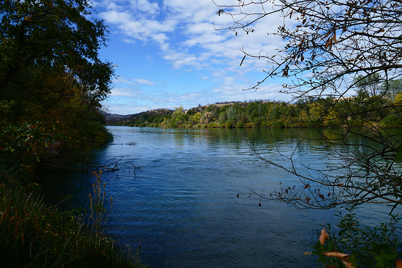 Sacramento River Walk [Redding]