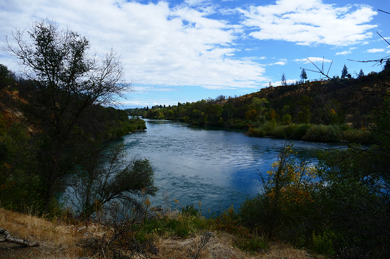 Sacramento River Walk [Redding]