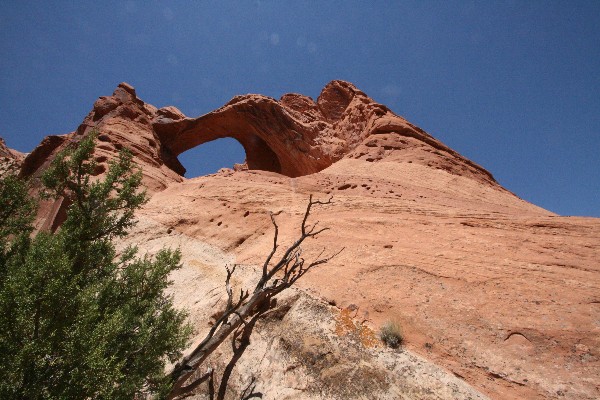 Saddle Arch