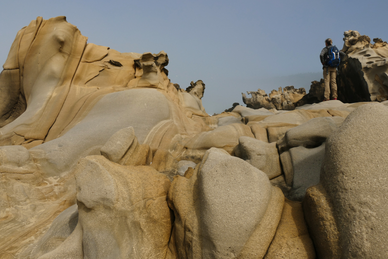 Bild von der Salt Point Coast [Salt Point State Park]