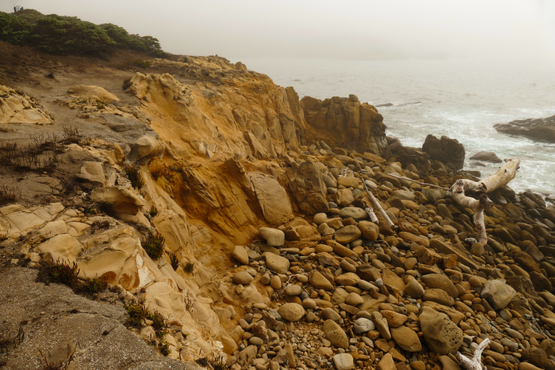 Bild von der Salt Point Coast [Salt Point State Park]