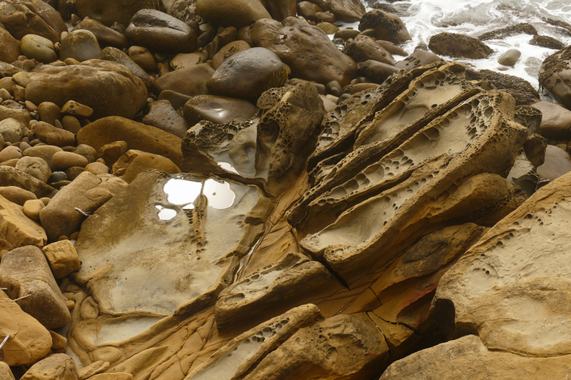 Bild von der Salt Point Coast [Salt Point State Park]