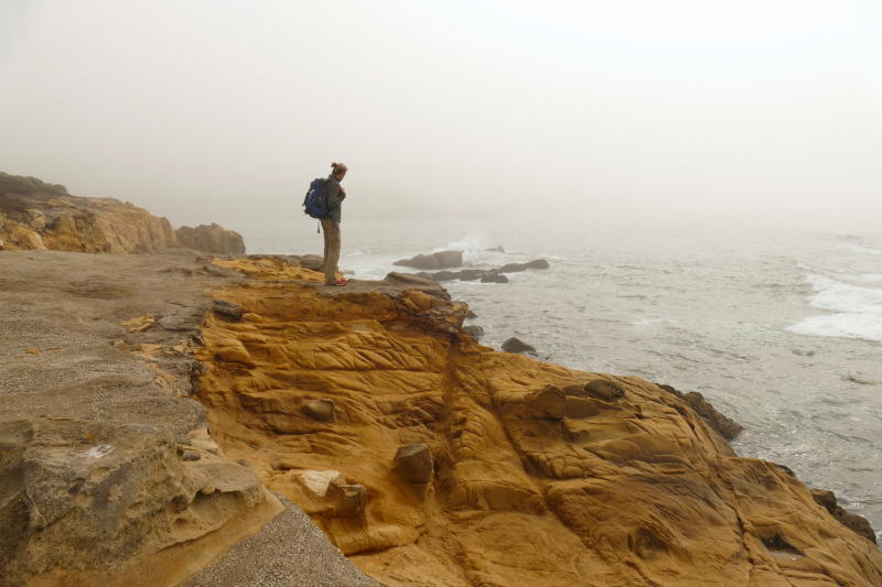 Bild von der Salt Point Coast [Salt Point State Park]