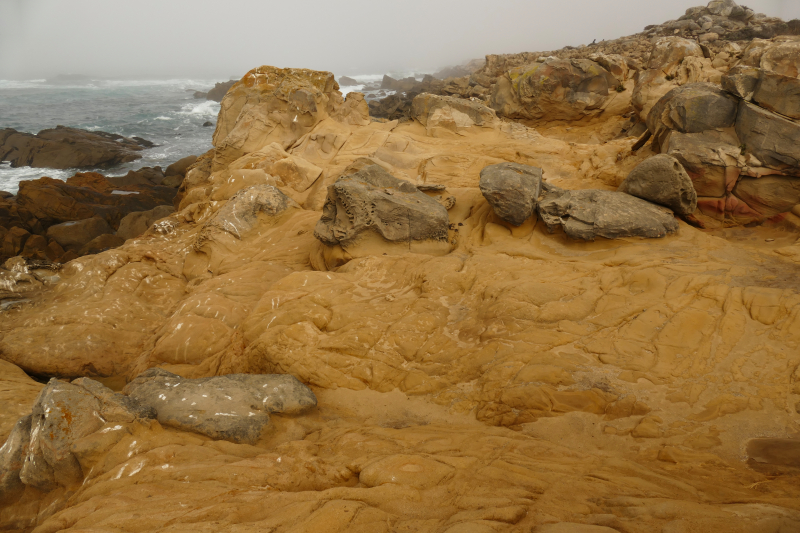 Bild von der Salt Point Coast [Salt Point State Park]