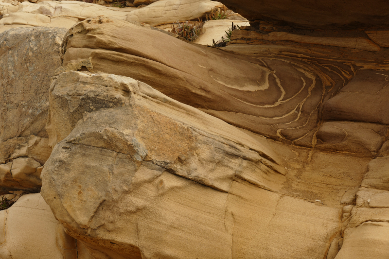 Bild von der Salt Point Coast [Salt Point State Park]