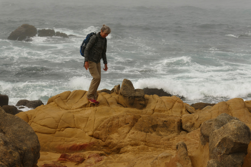 Bild von der Salt Point Coast [Salt Point State Park]