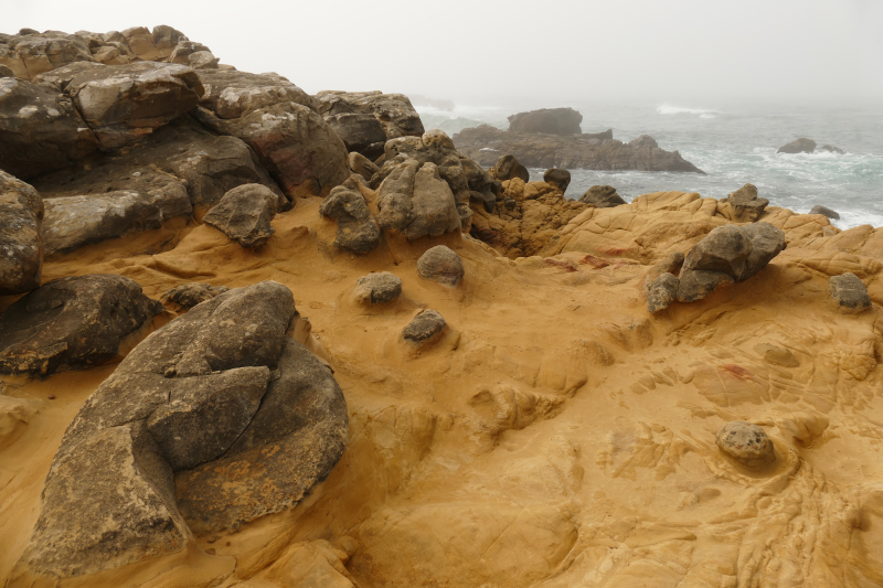 Bild von der Salt Point Coast [Salt Point State Park]