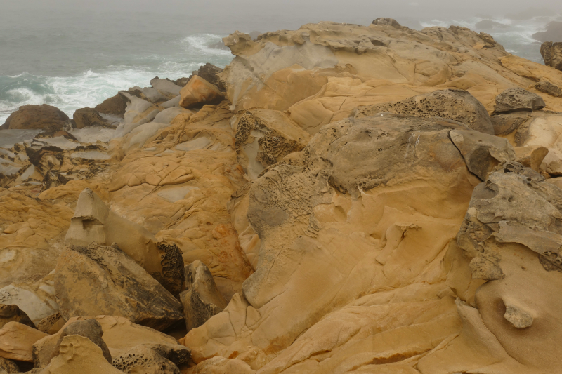 Bild von der Salt Point Coast [Salt Point State Park]